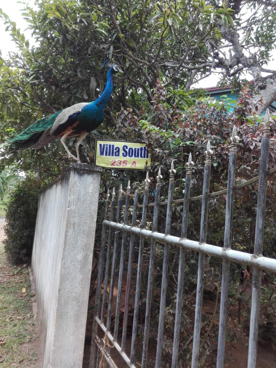Weligama Villa South Exterior foto